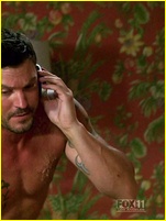 Brian Austin Green nude photo