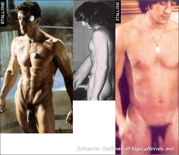 VipGalleries.net Sylvester Stallone :: FreeMaleCelebrityArchive.com.